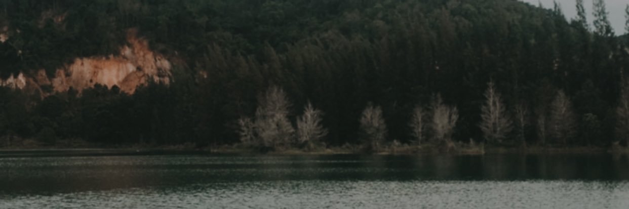 inpbz's profile banner image