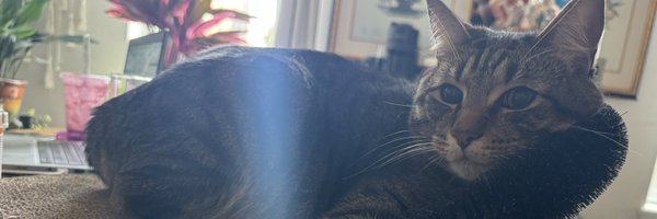 MatthewZRuiz Profile Banner