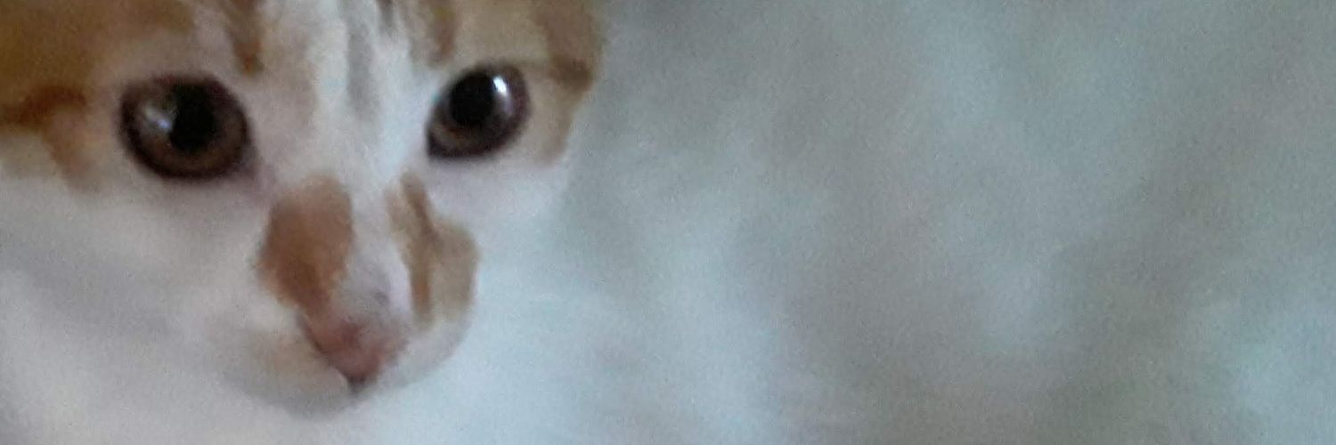 Alitasexy's profile banner image