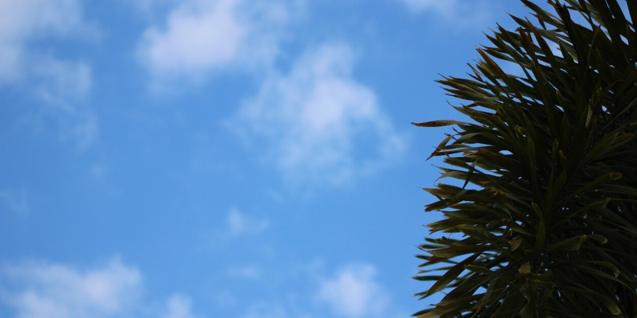 ShaherraR's profile banner image