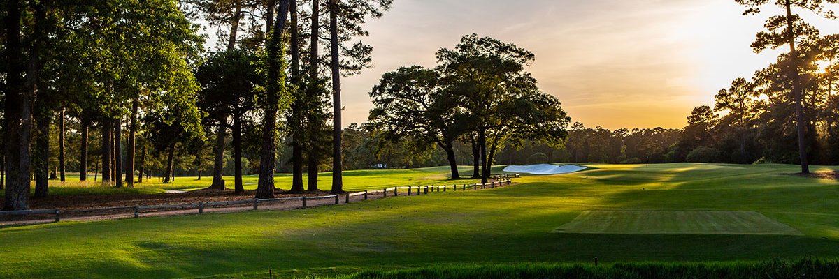 Mark Weatherly banner