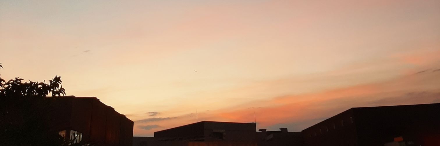 marizzlt's profile banner image
