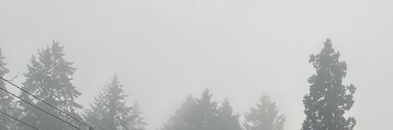FuckLemonade's profile banner image