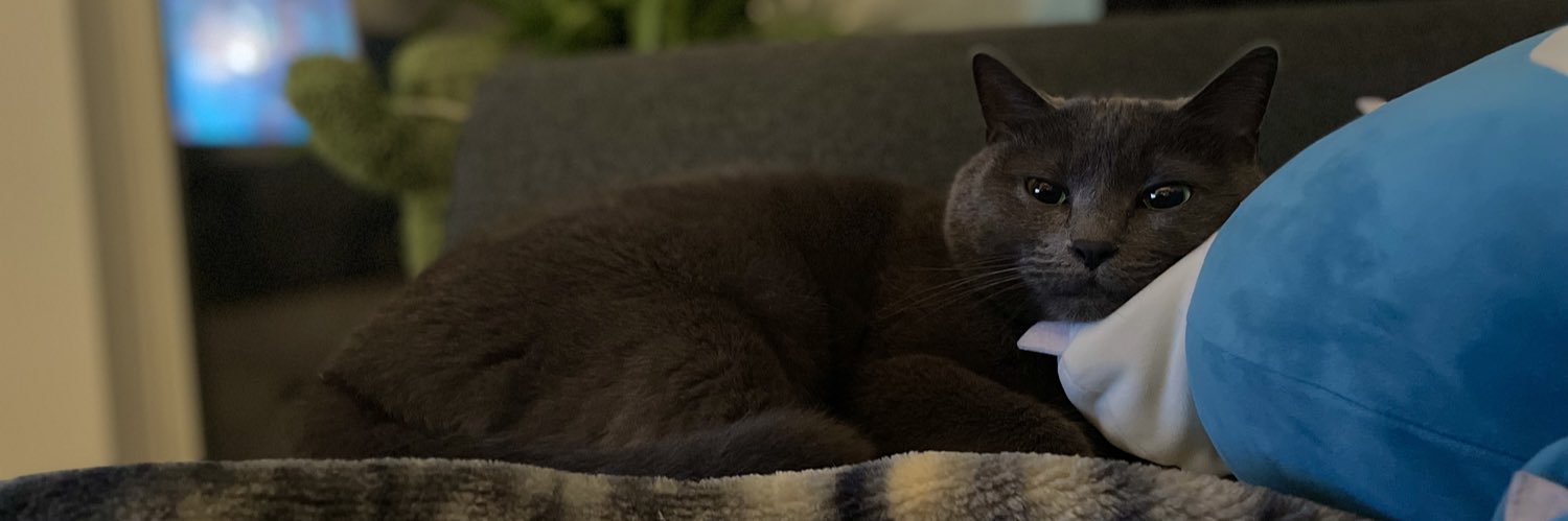 KittyTittty's profile banner image