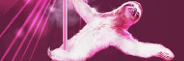 SBraitman's profile banner image