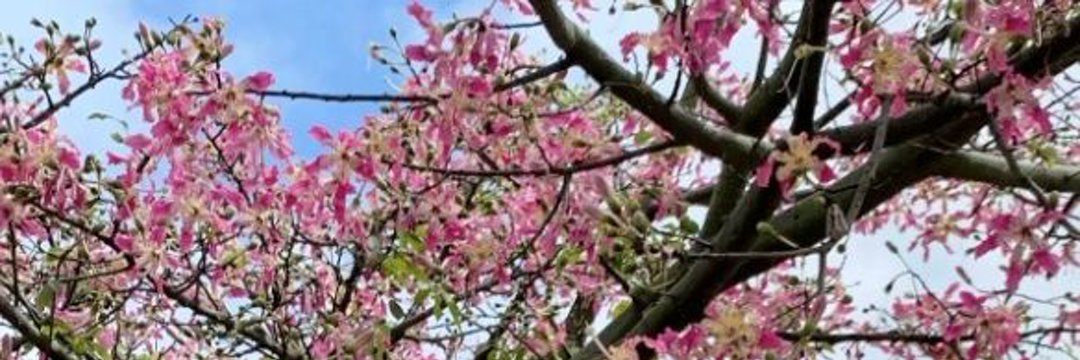 한신옌 banner