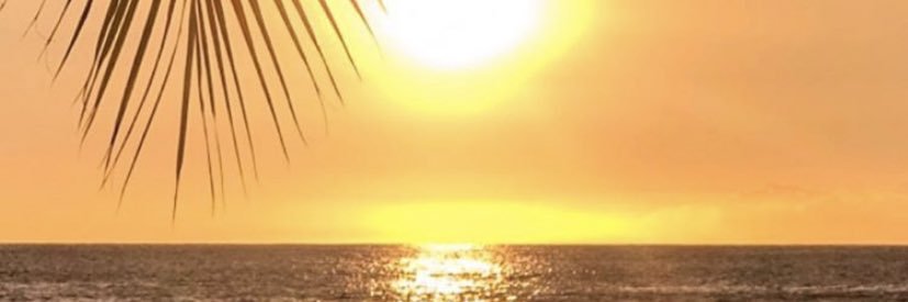 co0309's profile banner image