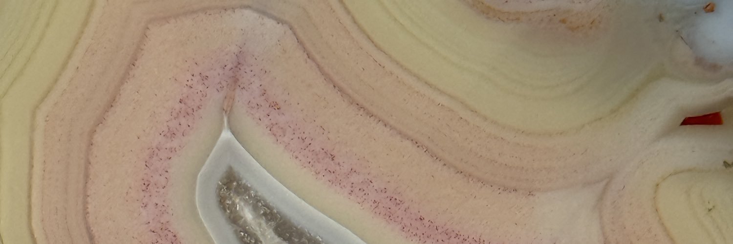 evermorenialls's profile banner image