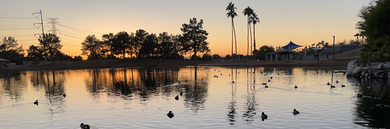 AlyD2980's profile banner image