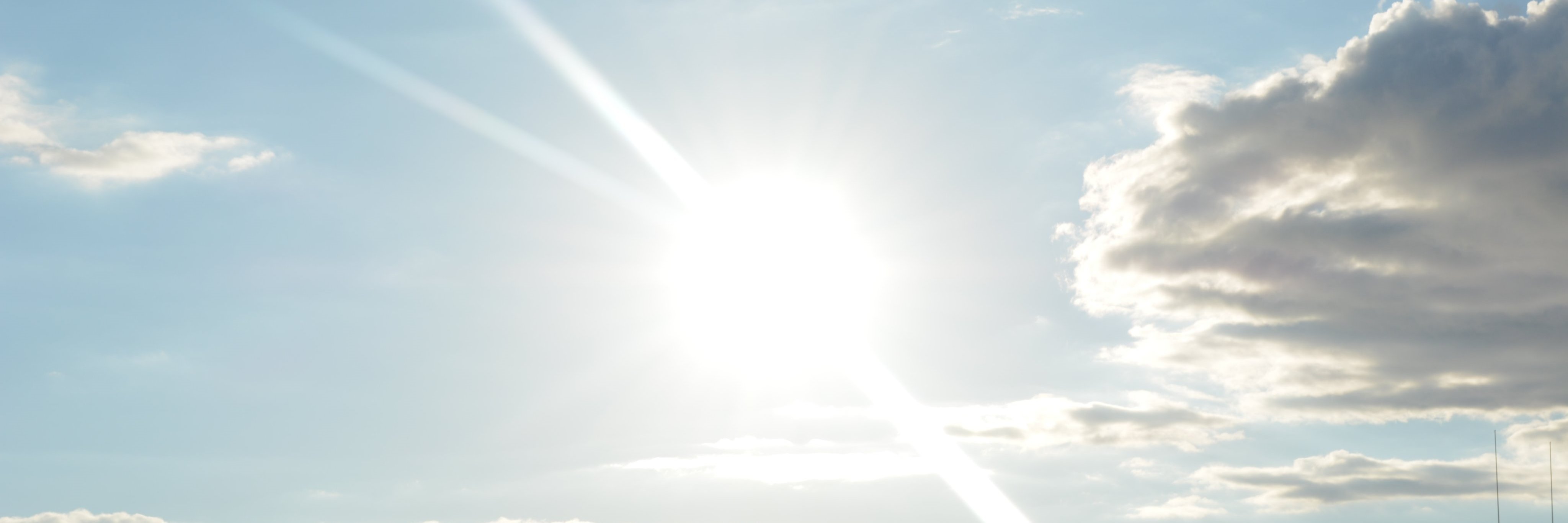 RolandeThibodea's profile banner image