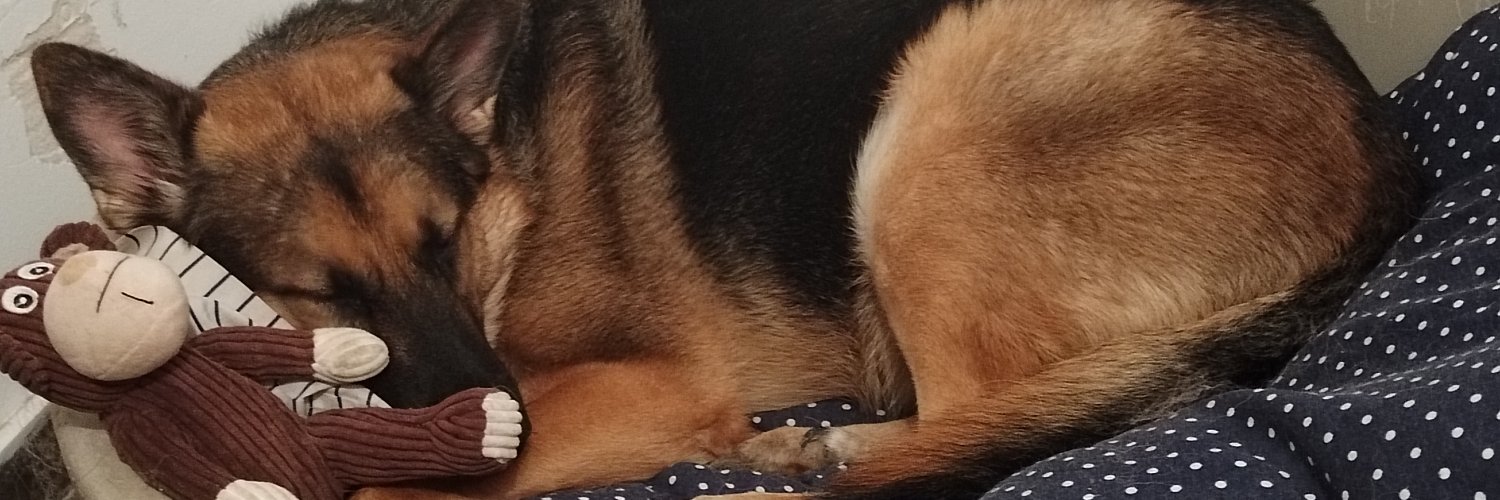 Nikodemo17's profile banner image