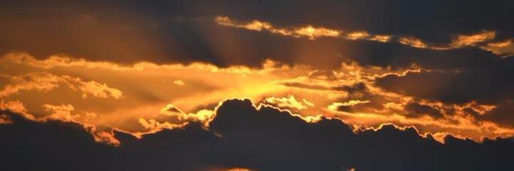 BirdieBenge's profile banner image