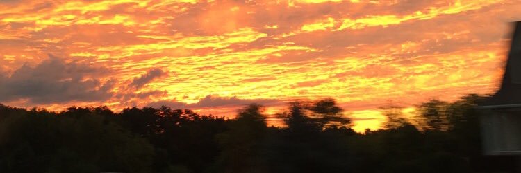 hbeals15's profile banner image