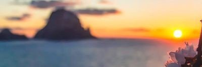 lauringracedy's profile banner image