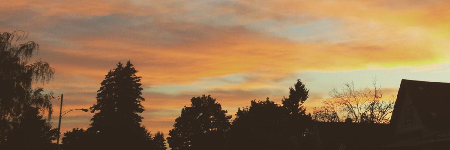 delphinedanger's profile banner image