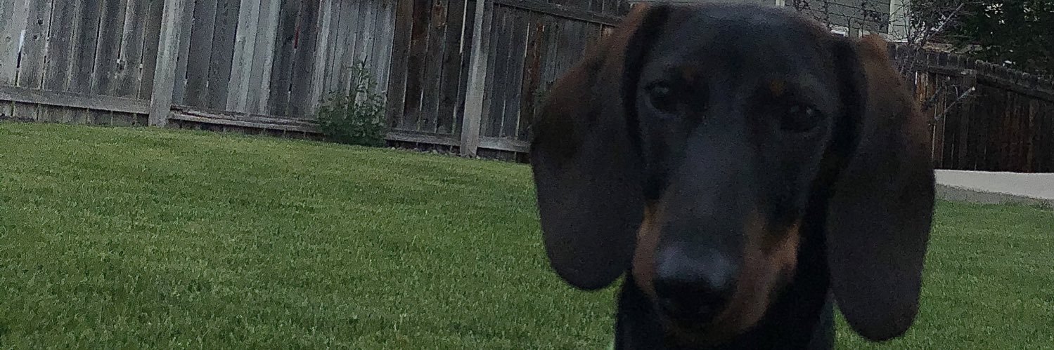 Co_Jack34's profile banner image