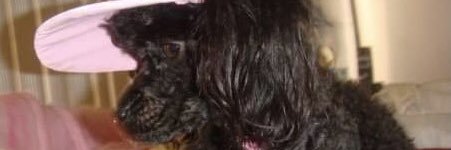 ReneeSB11's profile banner image