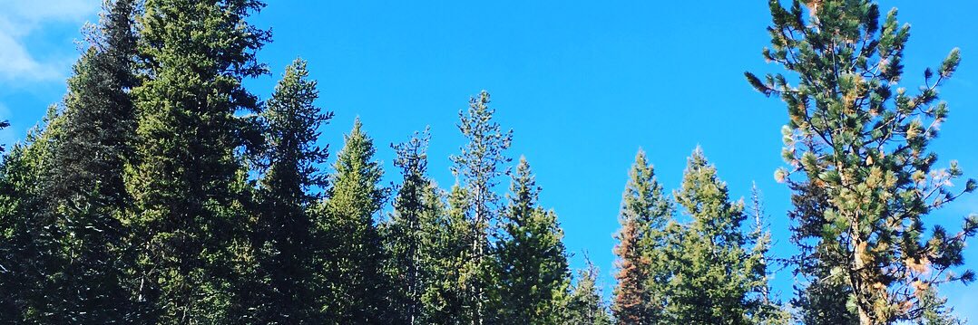 lgoetz4's profile banner image