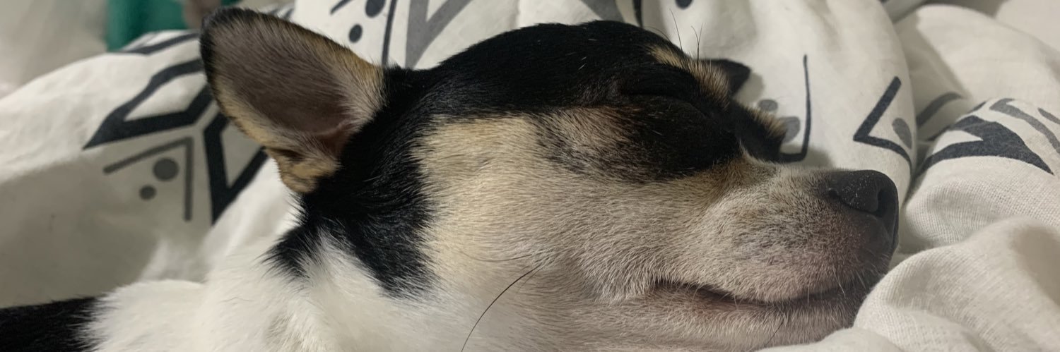 daniellelimmmm's profile banner image