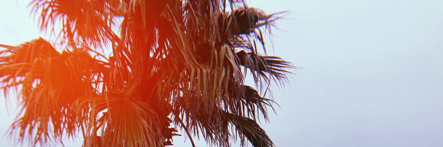 annaL0pez_'s profile banner image
