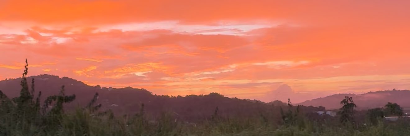 Liz_Michelle1's profile banner image