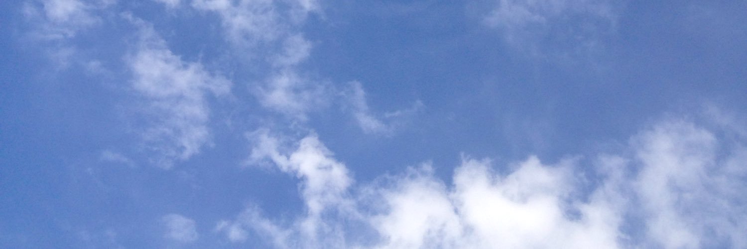 CamiLaesch's profile banner image