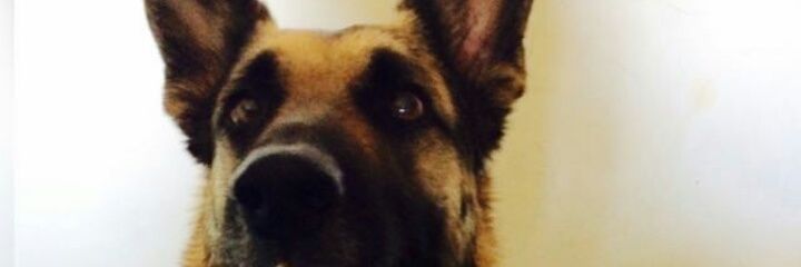 PauGA29's profile banner image
