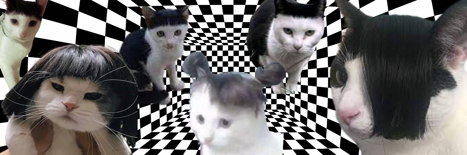 wandLinha's profile banner image