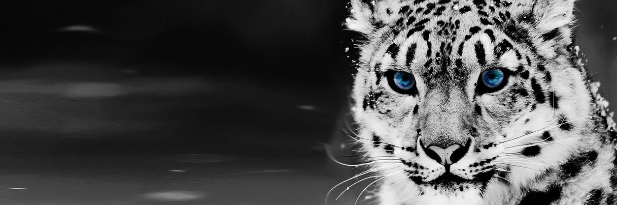 m0rtified's profile banner image