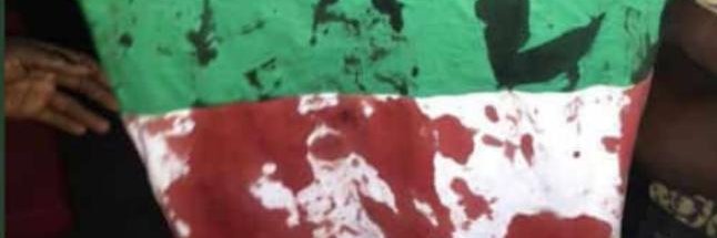 ETonbra's profile banner image