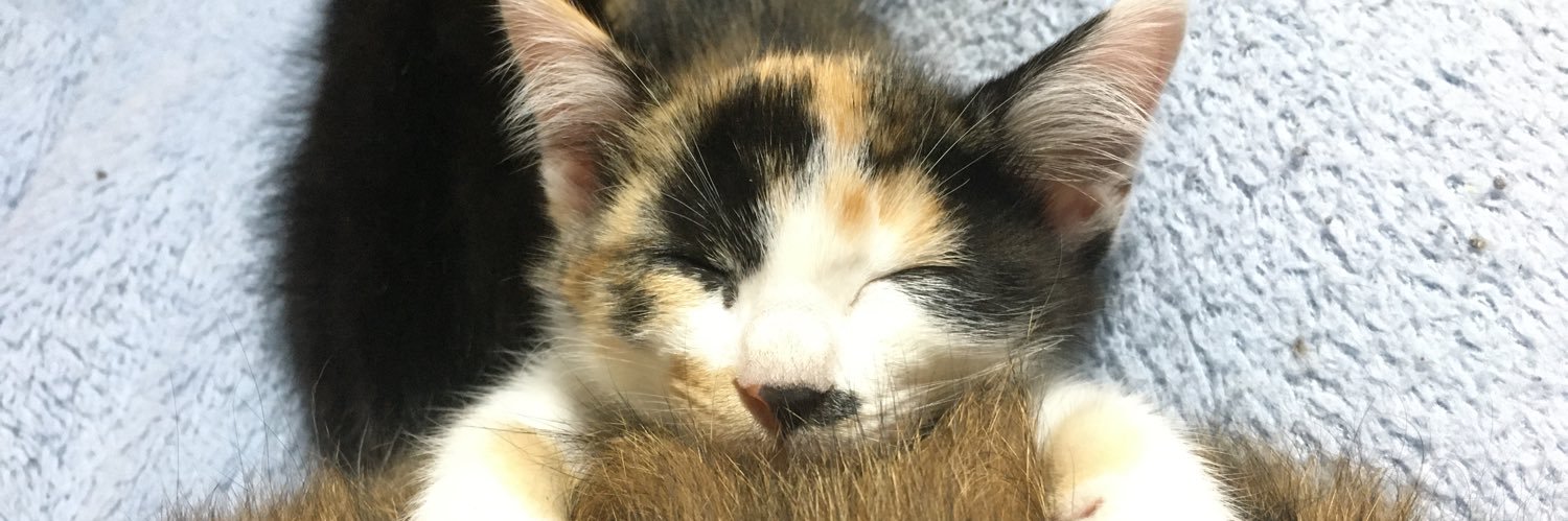 m1k3n3c0's profile banner image