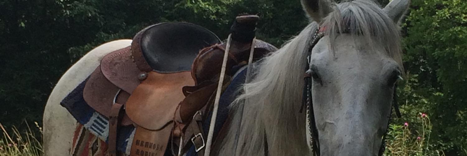 twistnnex's profile banner image