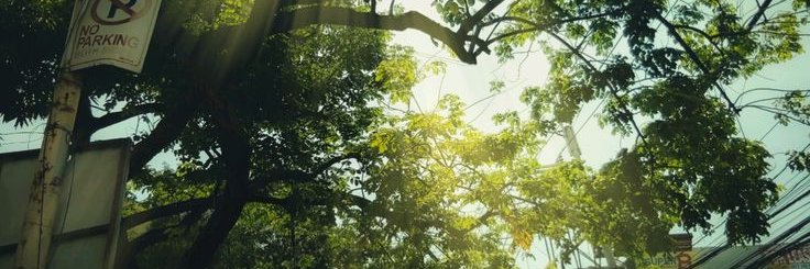 vanidty's profile banner image