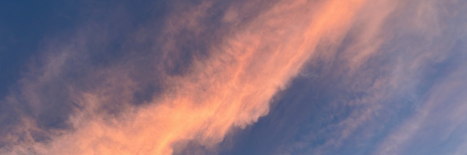 alliexandraa's profile banner image