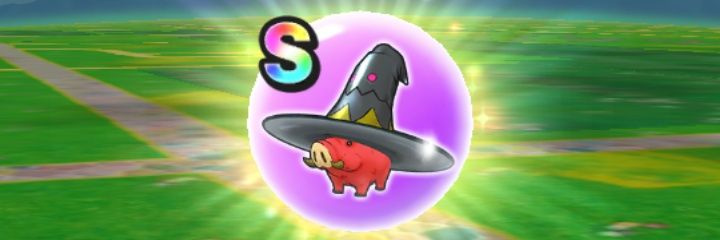 てる🍠@DQW banner