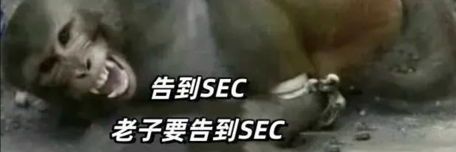 ns_doge's profile banner image