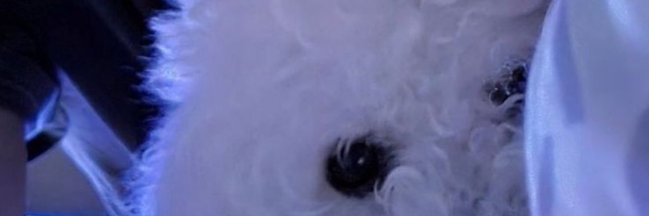💌 banner