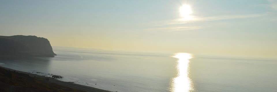 Derek Humphreys banner