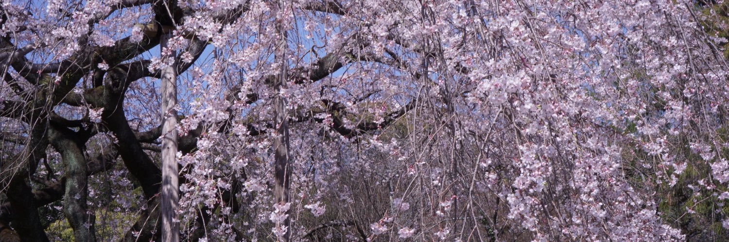 Chawsua52's profile banner image