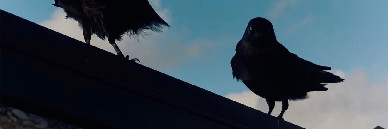 willlllllie's profile banner image