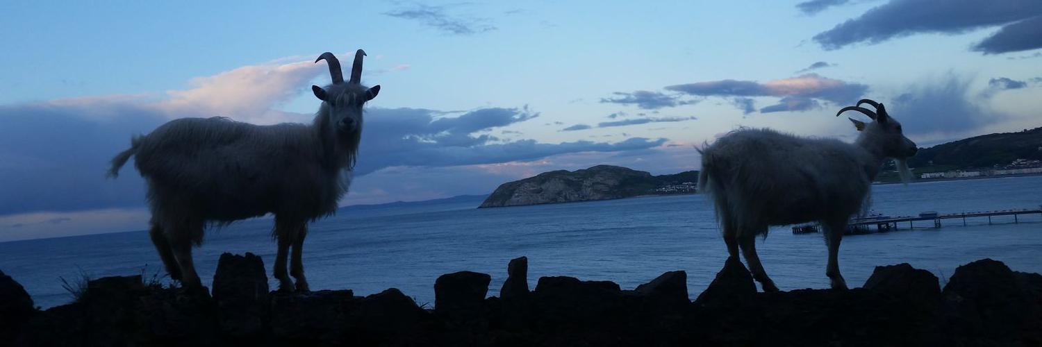 pie key 4 con her banner