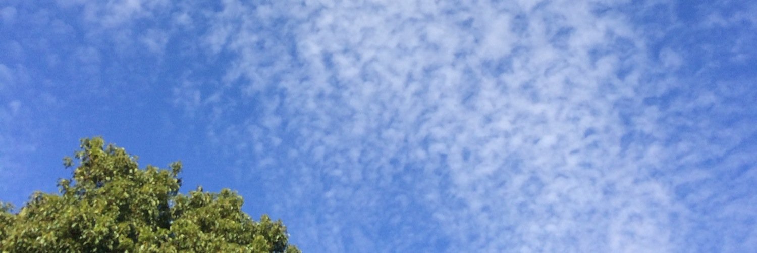 Twitter banner for @cools
