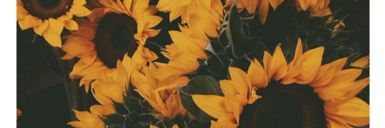 RiiGuy_'s profile banner image