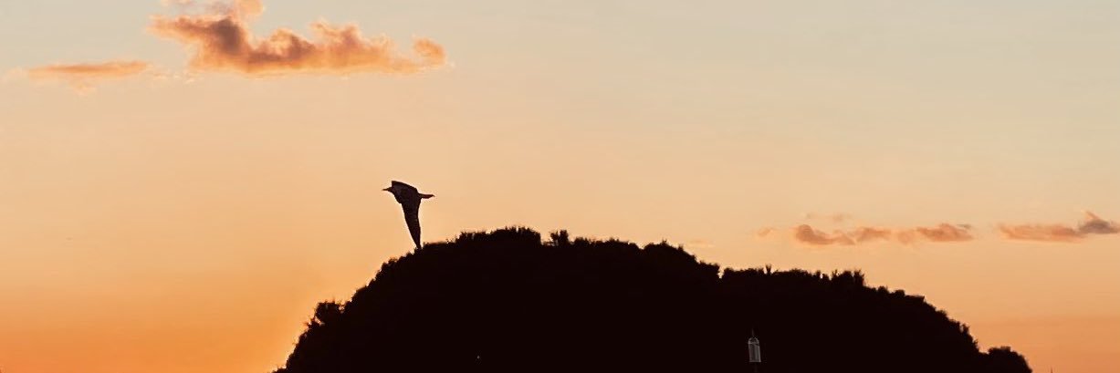 sumilayka's profile banner image