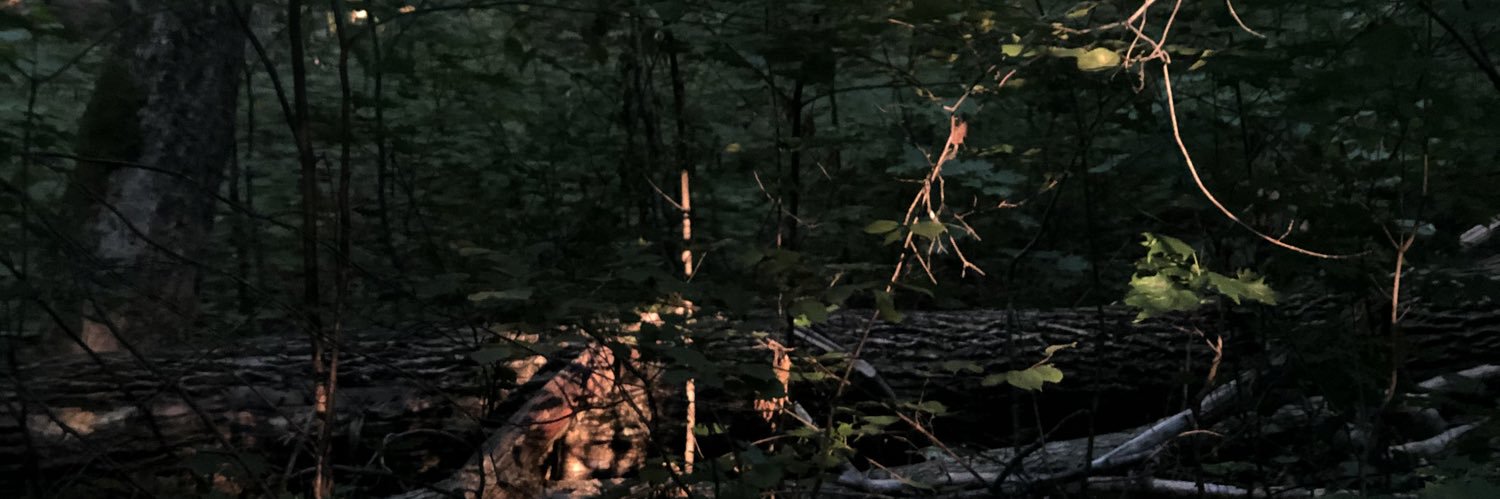 riredelameduse's profile banner image