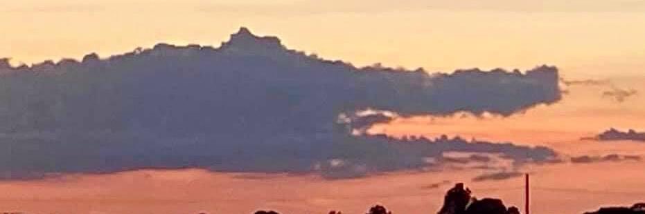 Kathryn Gator banner