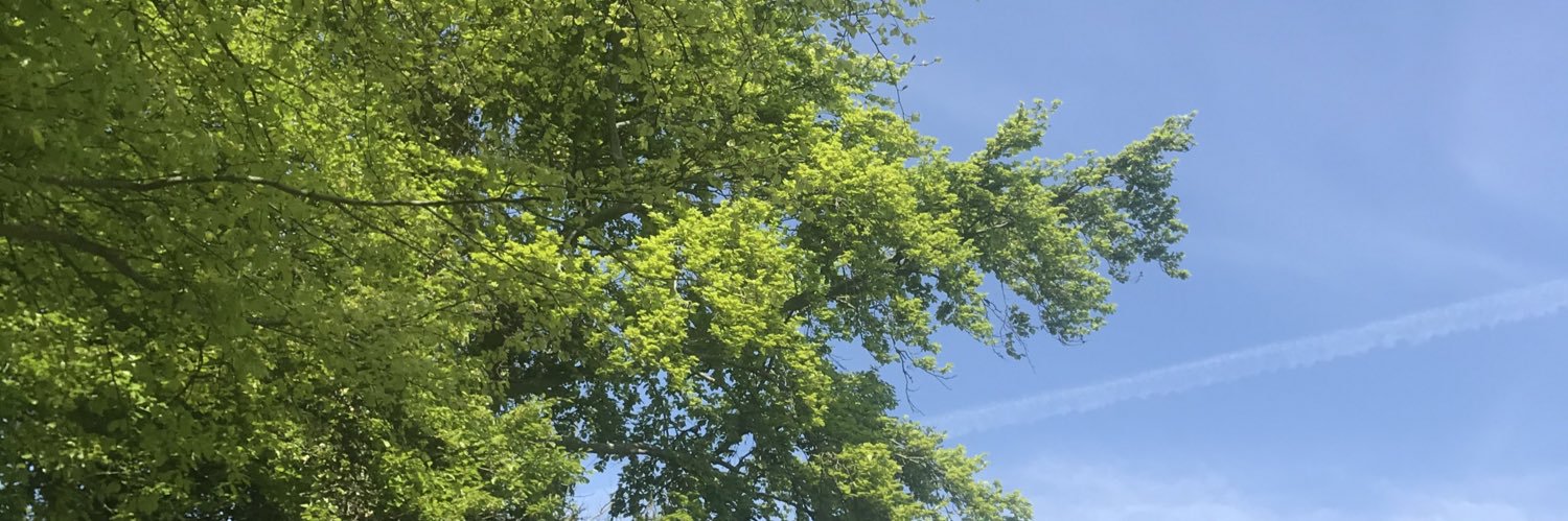 roo_keoo's profile banner image