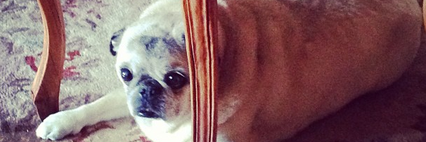 Laura Stampler banner