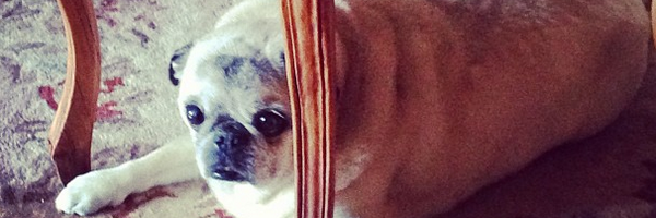 laurastampler Profile Banner