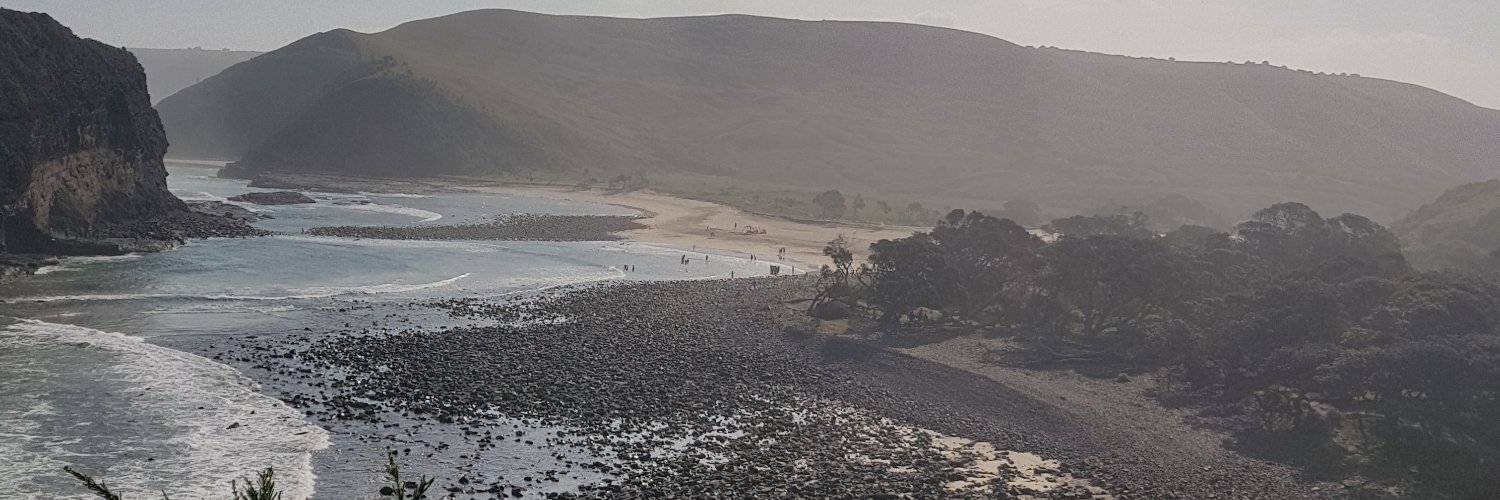 Aviwe Mgobozi banner